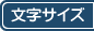 文字サイズ